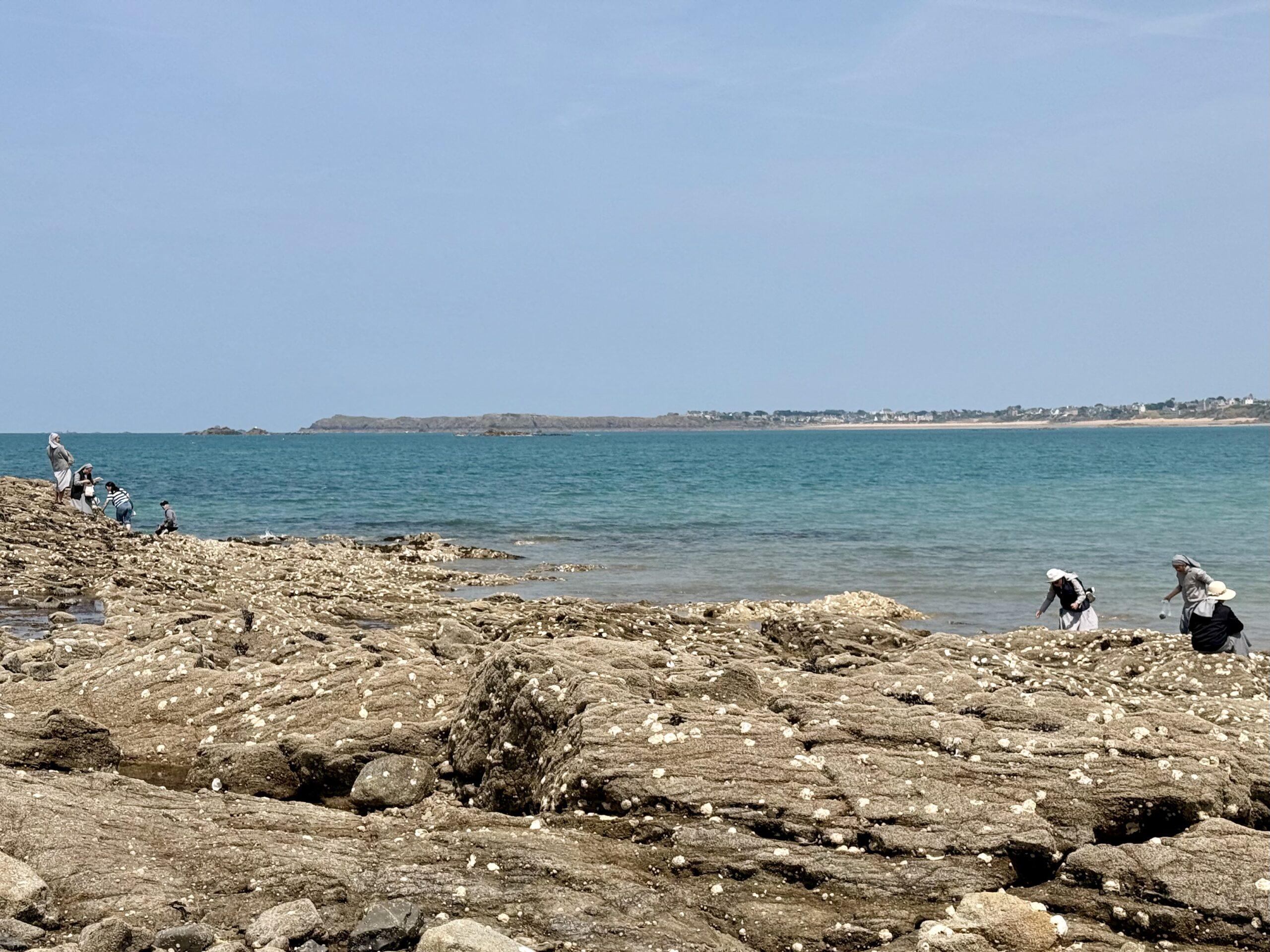 Can you spot the rock pooling nuns?